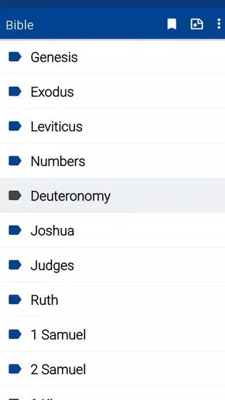 ภาพหน้าจอ Spurgeon Bible Commentary 2