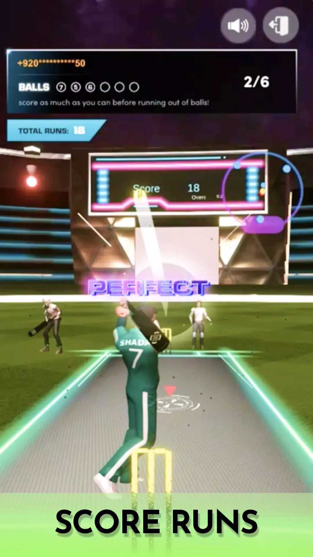 Cricket Fly screenshot 3