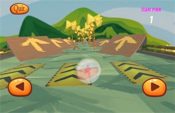 Extreme Zorbing screenshot 3