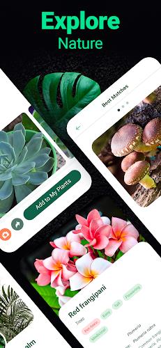 Plantum - Plant Identifier স্ক্রিনশট 4