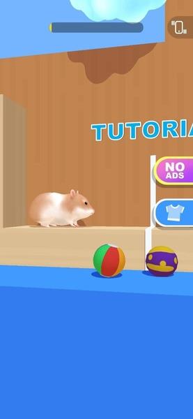 Hamster Maze ကိုဖန်သားပြင်1