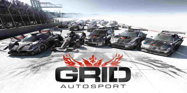 GRID™ Autosport屏幕截圖1