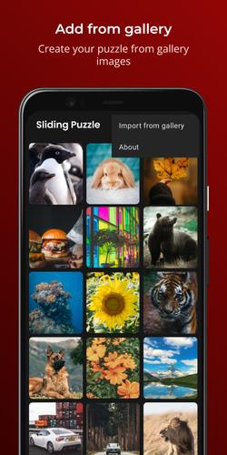 Sliding Puzzle应用截图第4张