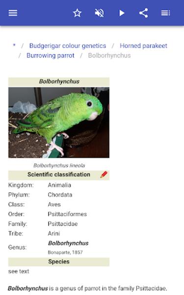 Screenshot Parrots 1