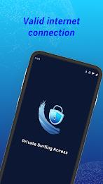 Private VPN - Surf Access Скриншот 1