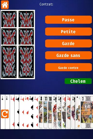 Net.Tarot screenshot 2