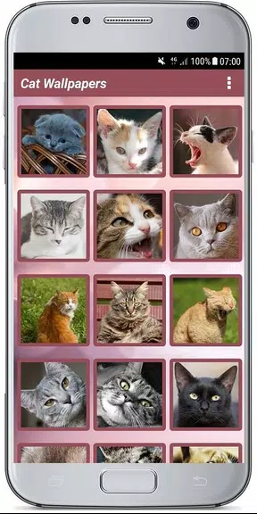 CUTE CAT WALLPAPERS screenshot 1