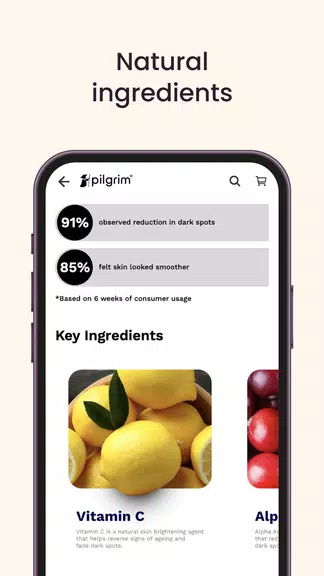 Pilgrim India Screenshot 4