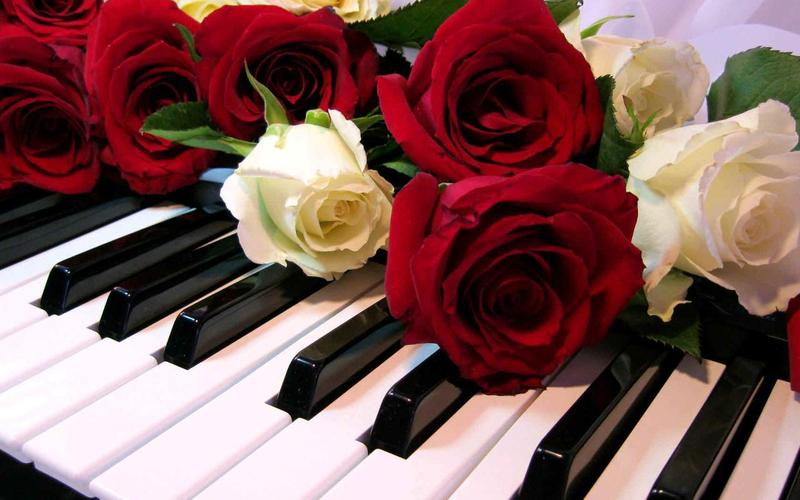 Roses Jigsaw Puzzles屏幕截圖1