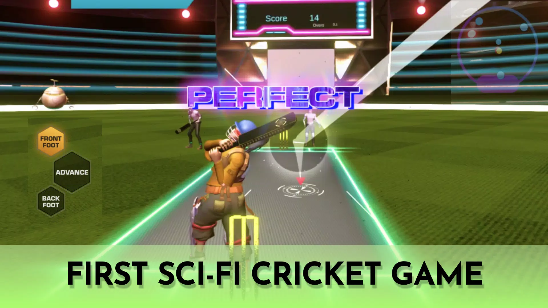 Cricket Fly Screenshot 1