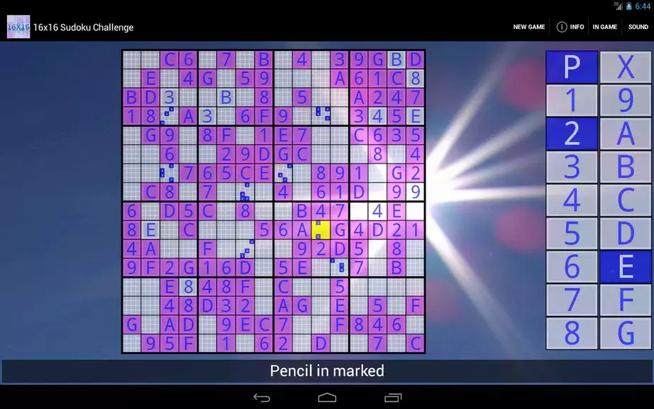 16x16 Sudoku Challenge HD স্ক্রিনশট 3