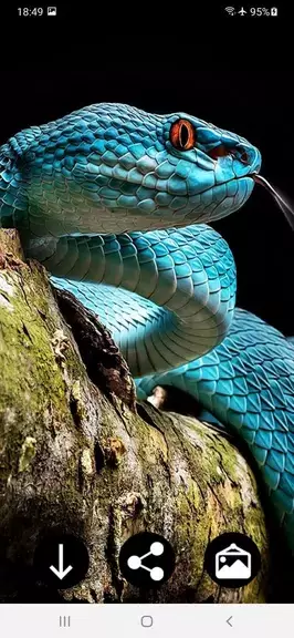 Snake Wallpapers स्क्रीनशॉट 1