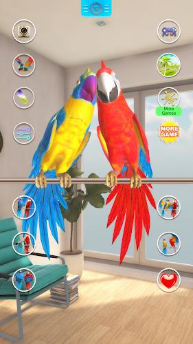 Talking Parrot Couple Screenshot 4