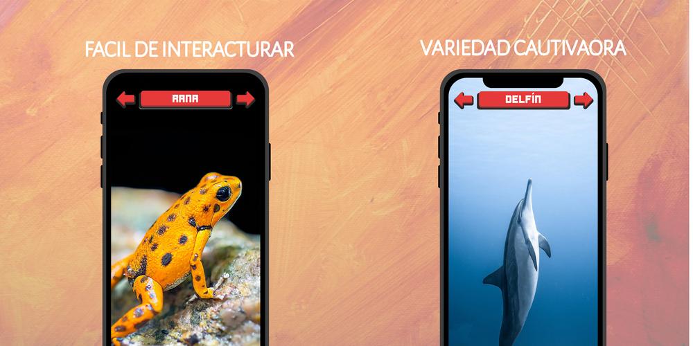 Animales: Sonidos e Imágenes Screenshot 4