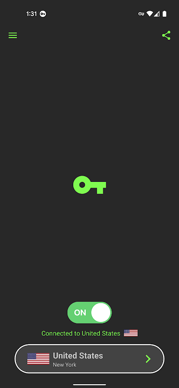 ภาพหน้าจอ Free VPN Services .org 1