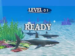 Screenshot Fish Race 1