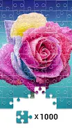 Jigsaw1000: Jigsaw puzzles экрана 1