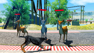 Doberman Dog Simulator Capture d’écran2