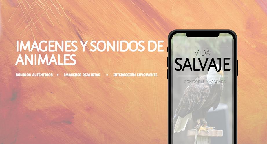 Animales: Sonidos e Imágenes Screenshot 1