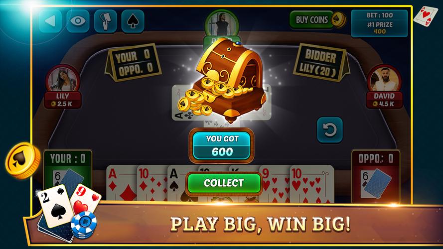 29 Card Game Plus 스크린 샷 3