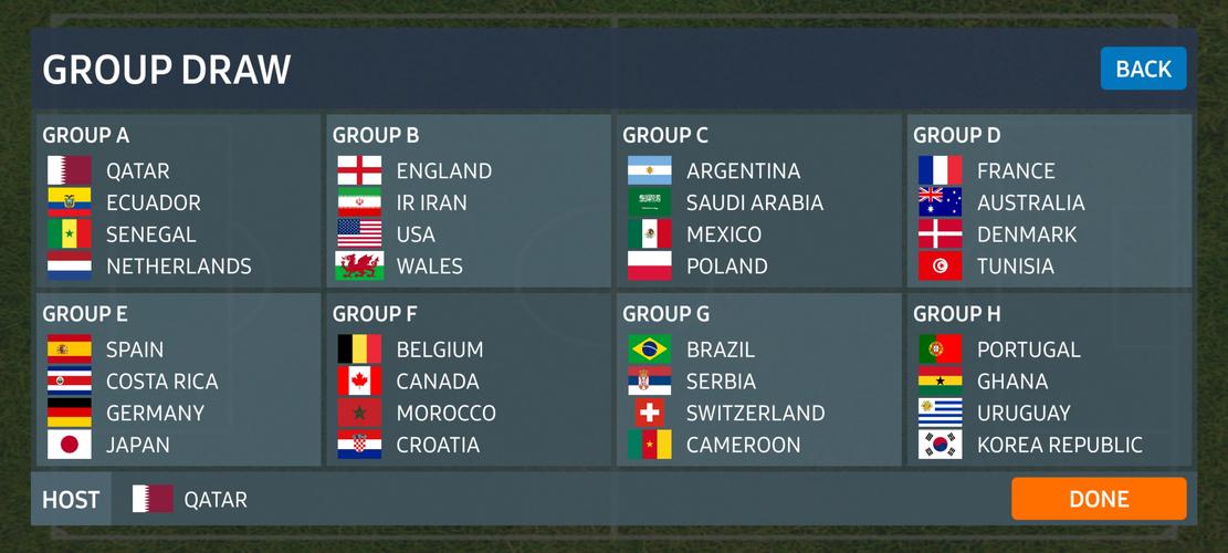 World Football Simulator Screenshot 2