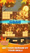 Screenshot Block Puzzle：Maple Melody 4