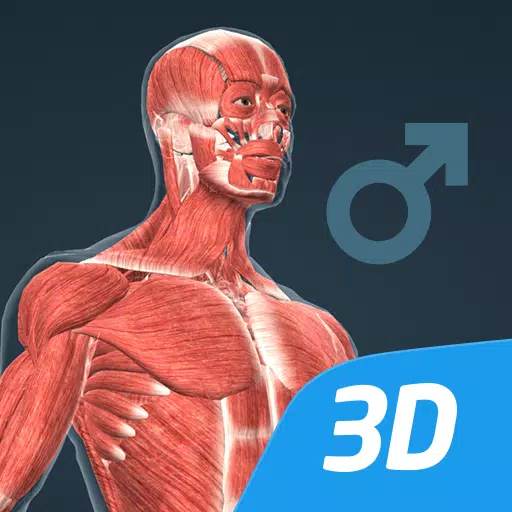 El cuerpo humano en 3D