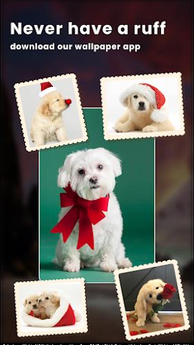 Puppy Love: Cute Dog Wallpaper captura de pantalla 2