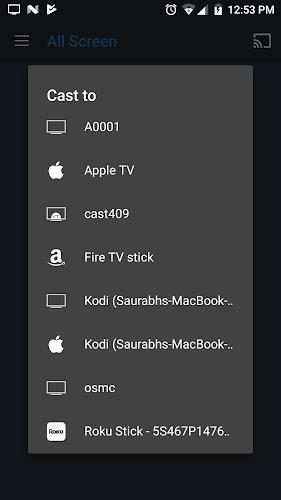 ภาพหน้าจอ All Screen Cast to TV Roku 3