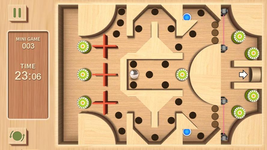 Maze Rolling Ball 3D স্ক্রিনশট 3