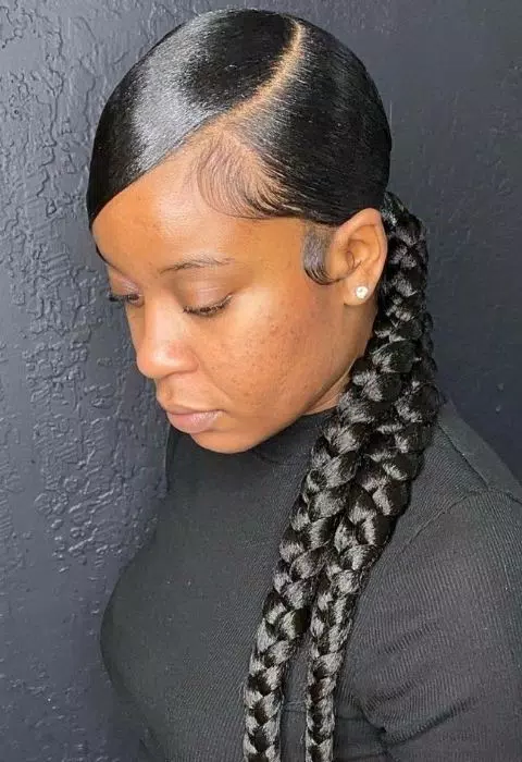 Sleek Braided Ponytail Styles Capture d’écran1