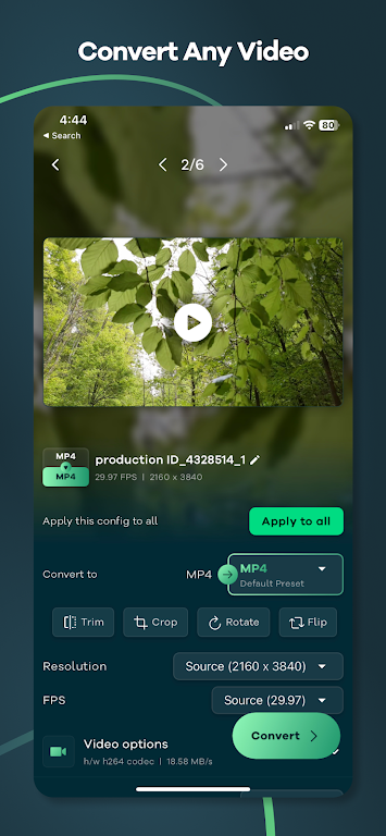 Video Converter - Remux应用截图第1张