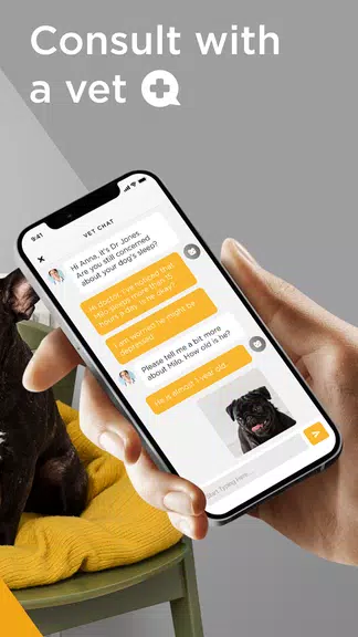 ภาพหน้าจอ Petcube 4