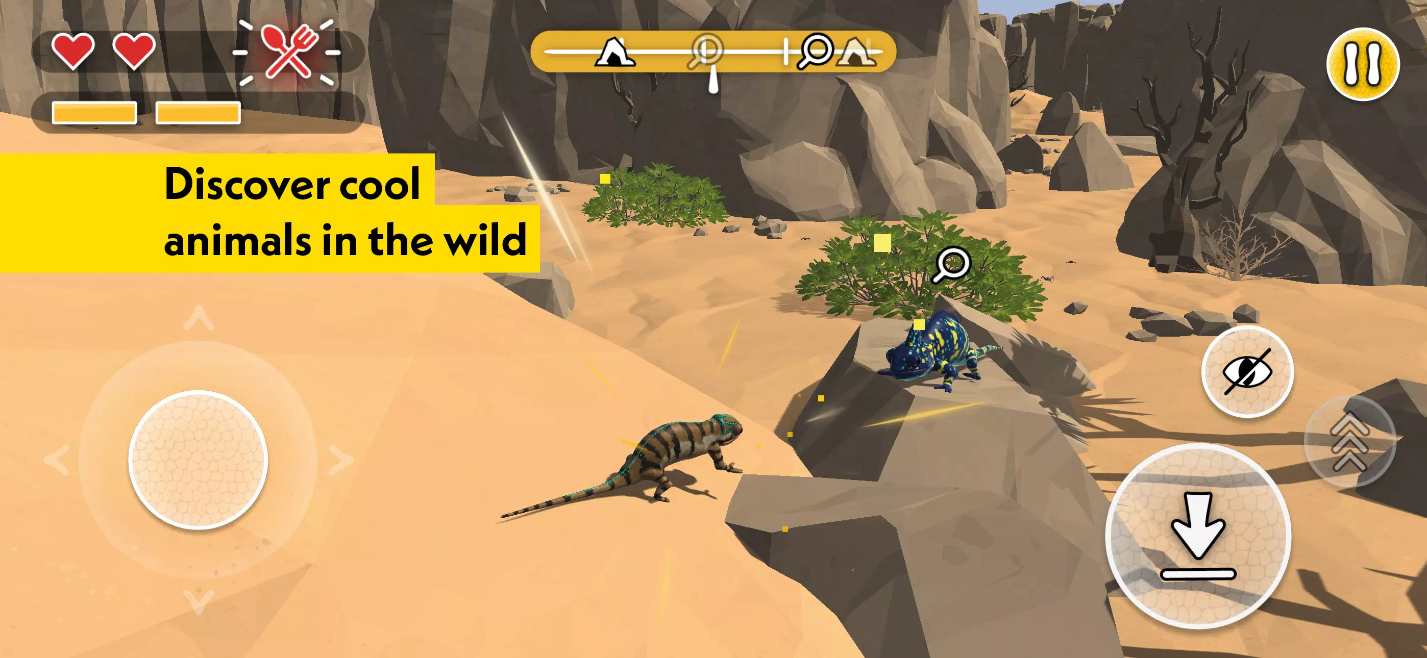 PLANET WOW Wildlife Adventure screenshot 4