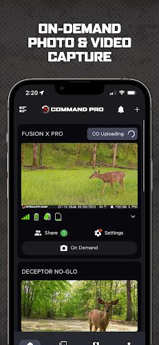 ภาพหน้าจอ COMMAND PRO 3