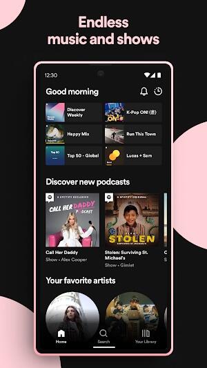 ภาพหน้าจอ Spotify Premium 4