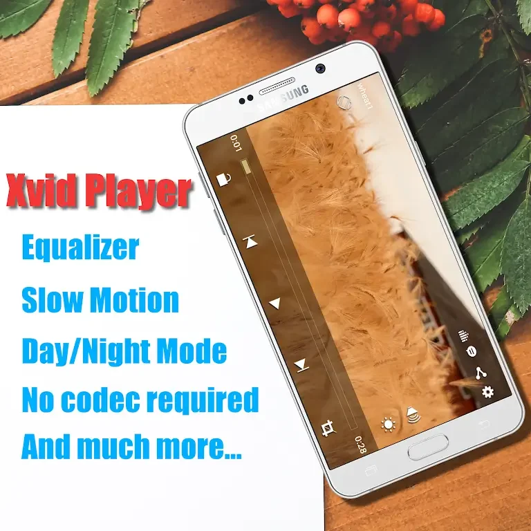 Xvid Video Codec Player应用截图第1张