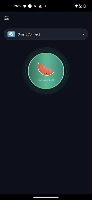 Melon Proxy স্ক্রিনশট 2