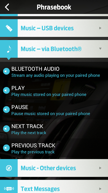 Ford SYNC™ Screenshot 3