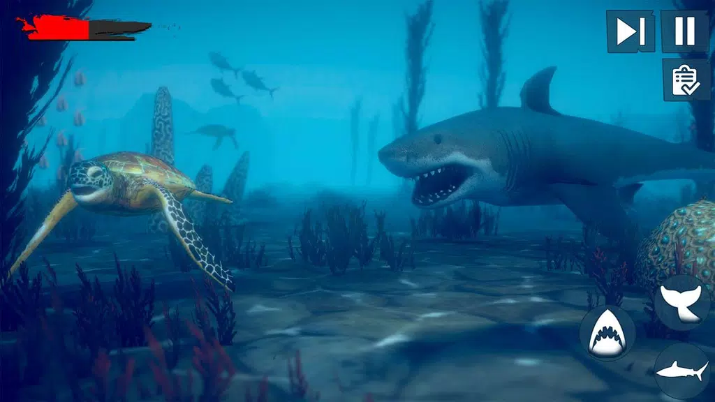 Real Survival Angry Shark Game captura de pantalla 4