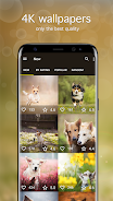 Dog Wallpapers & Puppy 4K 스크린샷 2