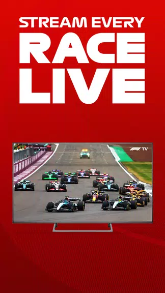 F1 TVスクリーンショット1