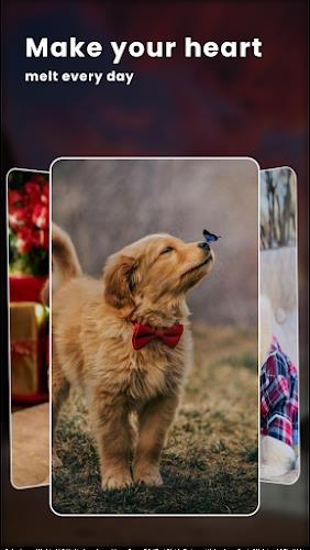 Puppy Love: Cute Dog Wallpaper zrzut ekranu 3