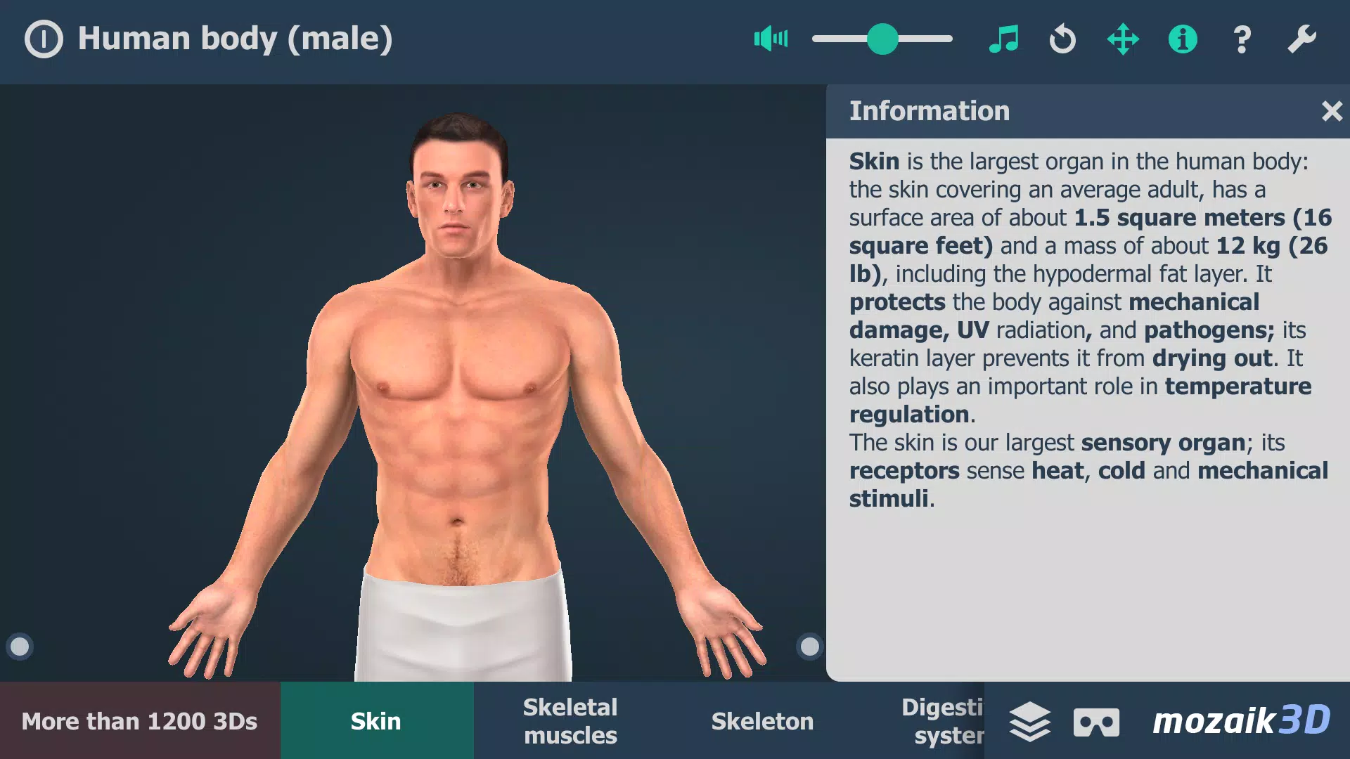 Human body (male) 3D scene экрана 1