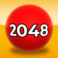 2048 V1.0.21 ׿