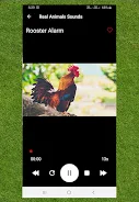 Screenshot Real Animals Sound 3