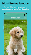 ภาพหน้าจอ Dog Scanner: Breed Recognition 1