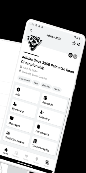 3SSB Circuit экрана 2