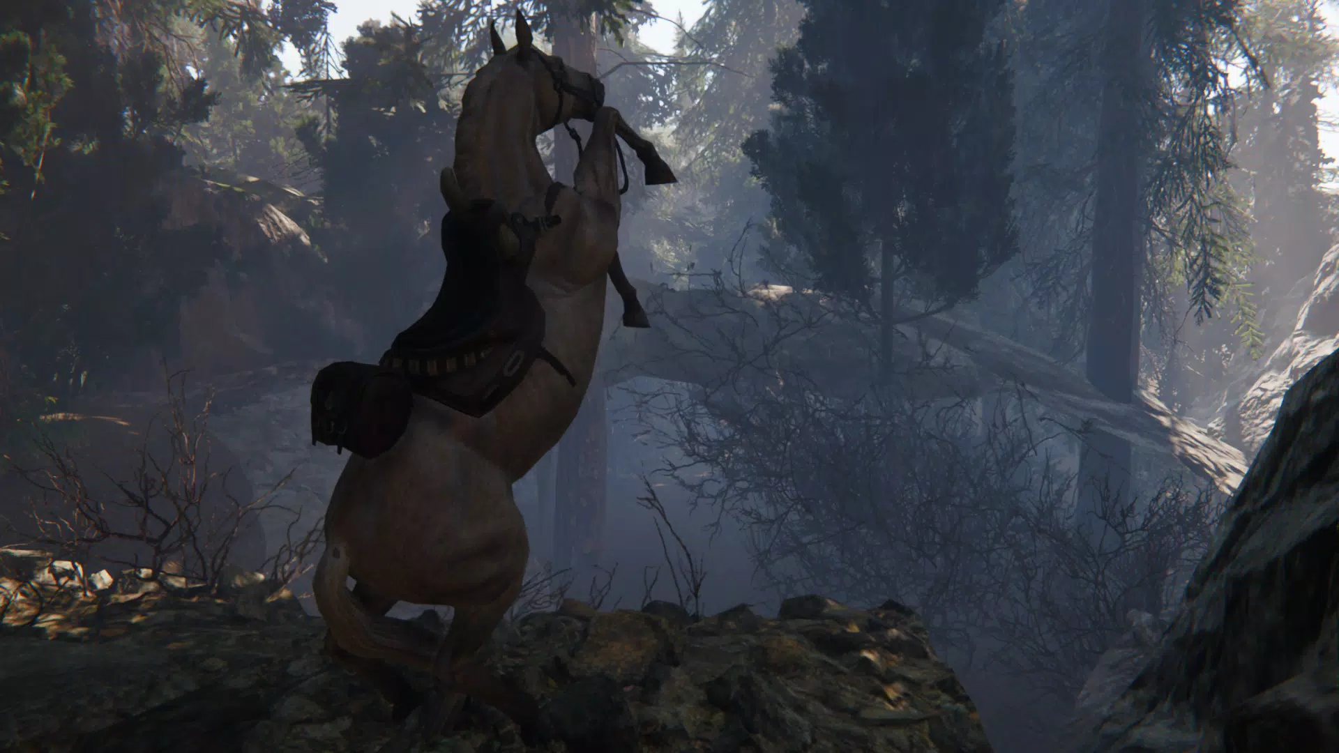 Spirit Horse: Woodland Trails屏幕截圖4