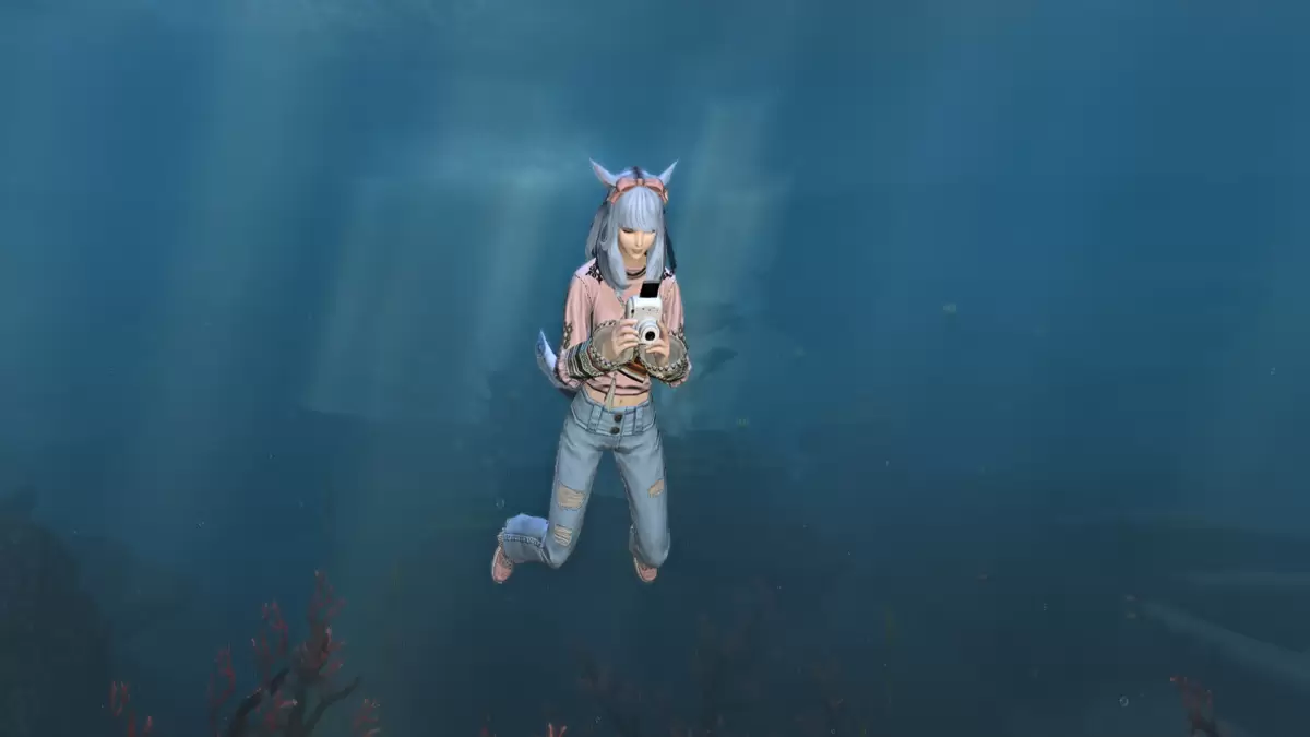 Photograph emote used underwater